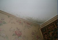 Причины повышенной влажности в квартире