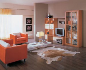 Выбор мебели в современном интерьере и стиль классики