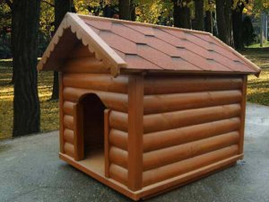 Строительство будки для собаки
