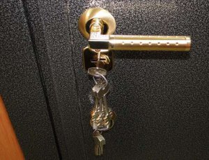 Металлическая дверь защитит ваш дом