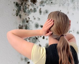 Как вывести грибок со стен самостоятельно