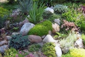 Рокарий или оригинальный каменный сад 