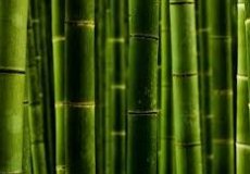 Бамбуковые обои