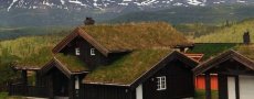 Строим дом: экологичные крыши
