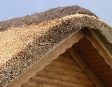 Строим дом: экологичные крыши