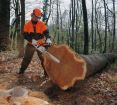 Бензопилы STIHL и вспомогательное оборудование