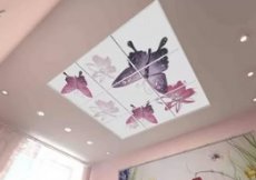 Подвесной потолок с фотопечатью – оригинальное украшение интерьера