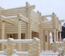 В какой период лучше строить деревянный дом