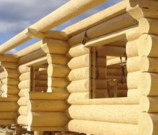 В какой период лучше строить деревянный дом