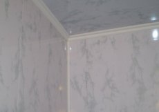 Характеристика пластиковых панелей для отделки потолка и стен