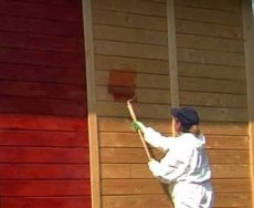 Покраска деревянного дома снаружи: технология и нюансы