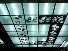    Потолок из стекла: особенности установки и эксплуатации