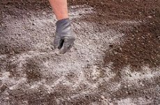    Как улучшить почву на участке