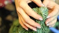 Как продлить жизнь новогодней елке