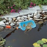 Перечень мероприятий по уходу за искусственным водоемом в весенне-летний период