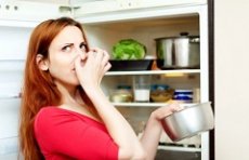 Как устранить запах в холодильнике