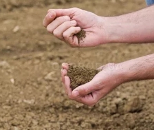 Анализ грунта и плодородие земель