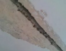 Опасны ли трещины на потолке и стенах?