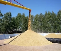 Дешевое хранение зерна