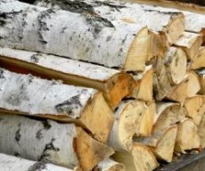 Почему стоит выбирать березовые дрова