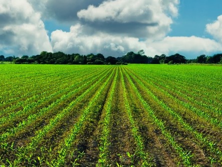 Техника для внесения удобрений: оптимизация процесса для улучшения почвы и урожая